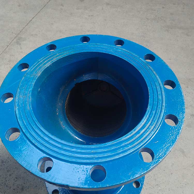 GL41H-16C-DN250-Y型過濾器-(6)